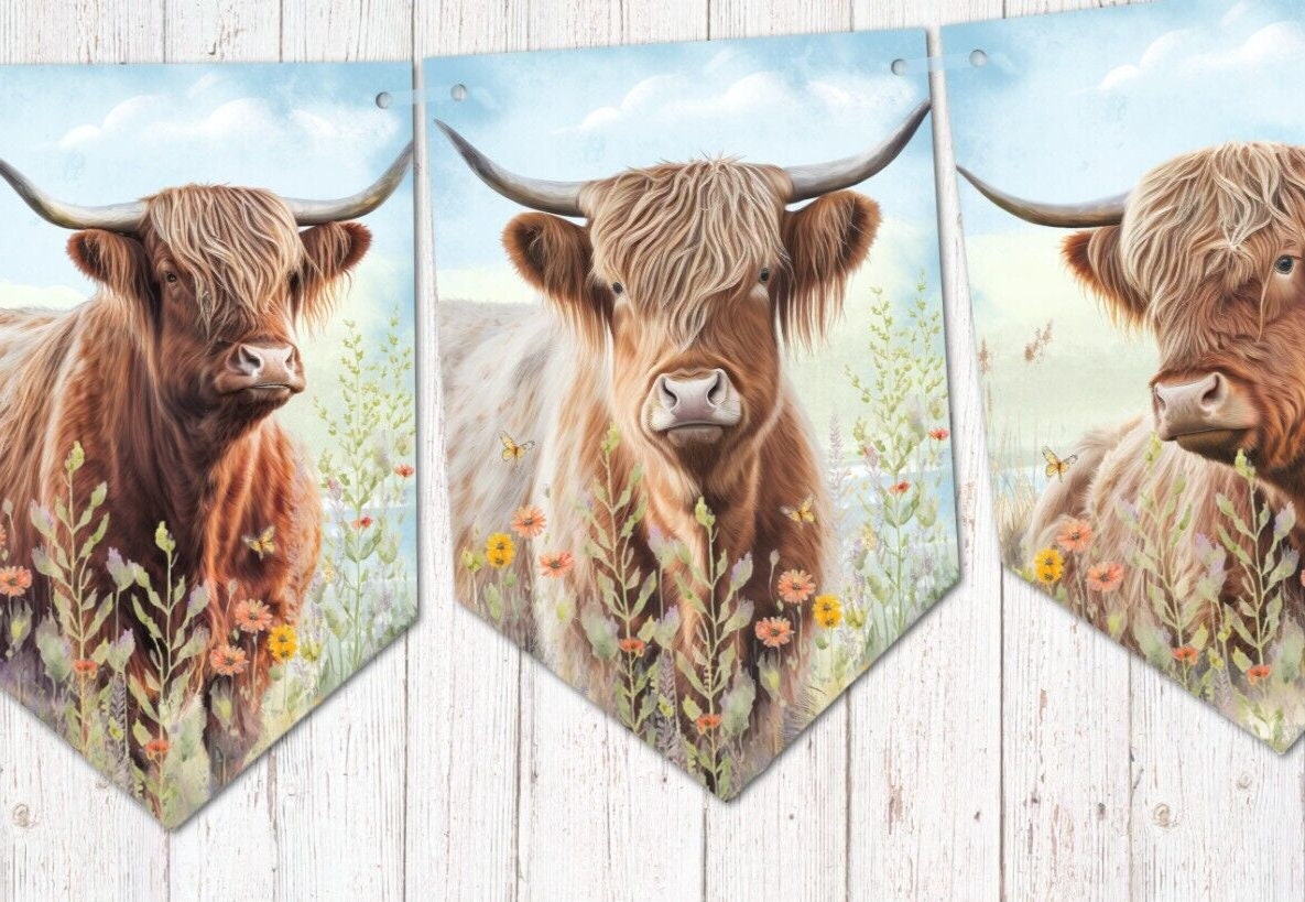 Highland Cow Decal Etsy UK