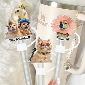 Custom Pet Photo Straw Topper, Personalized Dog Mom Gifts, Mothers Day Gift for Mom, Pet Portrait Stanley Straw Cover, Stanley Topper Gift
