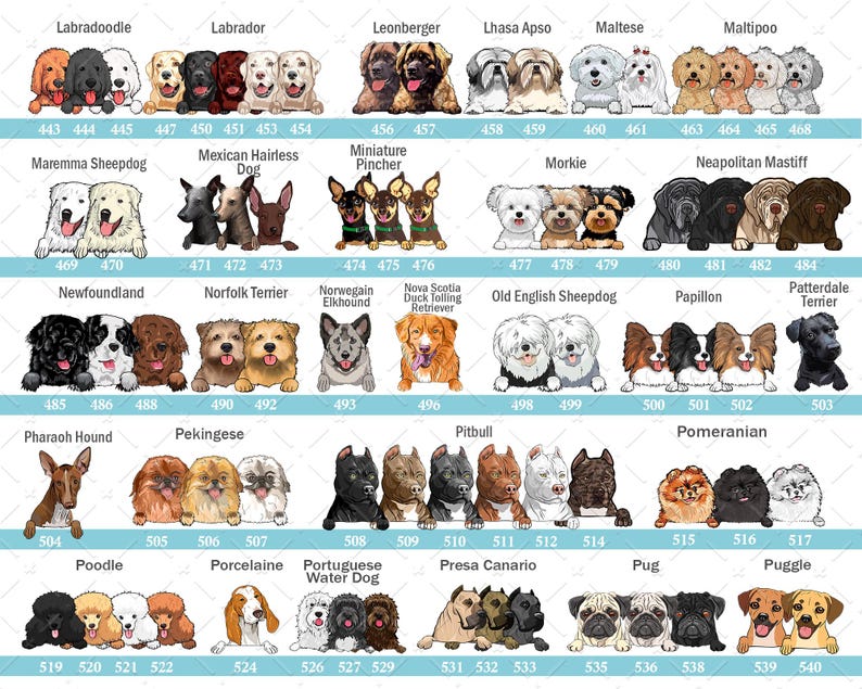 Pet Ornament Personalized, Custom Dog Ornament, Fur Family Ornament