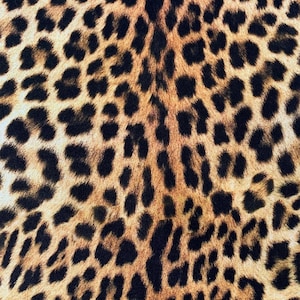 Leopard Print Handkerchief for men and women. Realistic design. Large size cotton. Animal print big cat print