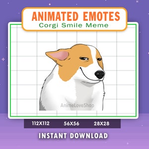 Emote animado Corgi Smile Dog Meme para Twitch, Discord, Youtube, Emote animado de meme de cachorro, Corgi Meme Gif