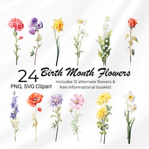 Floral Clipart Wildflower SVG Transparent PNG Rose Birth Month Flowers Wildflower Birth Month Clipart Watercolor Flower Art Birthday Design