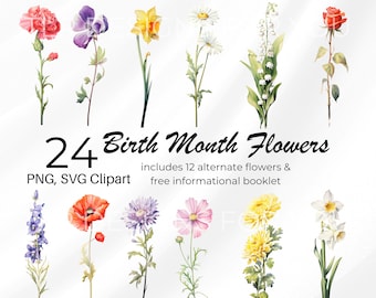 Floral Clipart Wildflower SVG Transparent PNG Rose Birth Month Flowers Wildflower Birth Month Clipart Watercolor Flower Art Birthday Design