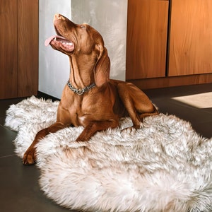 Memory foam faux fur dog bed online