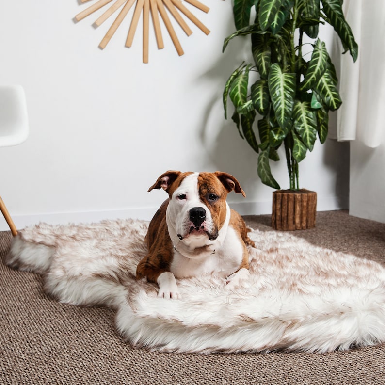 memory foam large dog bed washable cover
dog bed large orthopedic
plush dog rugs washable
brown sheepskin dog bed
large breed dog sleeping mat
luxury fur faux orthopedic bed
top paw memory foam dog bed medium
fluffy dog beds for large dogs