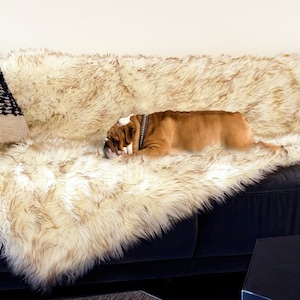 Waterproof Throw Blanket for Dogs - Small & Medium Pet Blanket - Sofa Protector - Washable Puppy Pad - Couch Cover for Pets