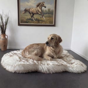 K&ouml;nnte beinhalten: Ein Golden Retriever liegt auf einem flauschigen, ovalen Haustierbett. Das Bett hat ein wei&szlig;es und braunes Kunstfell-Design. Ein gerahmtes Gem&auml;lde eines galoppierenden Pferdes h&auml;ngt an der Wand.