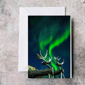 Superbes aurores boréales / aurores boréales à Churchill, Manitoba, Canada - Carte vierge