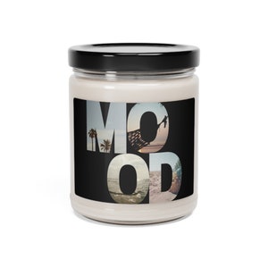 Beach Mood Scented Soy Candle, 9oz Apple Harvest Clean Cotton Sea Salt + Orchid White Sage + Lavender Cinnamon + Vanilla