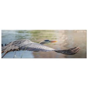 Blue Heron Wood Wall Art: Long Narrow Nature Photography