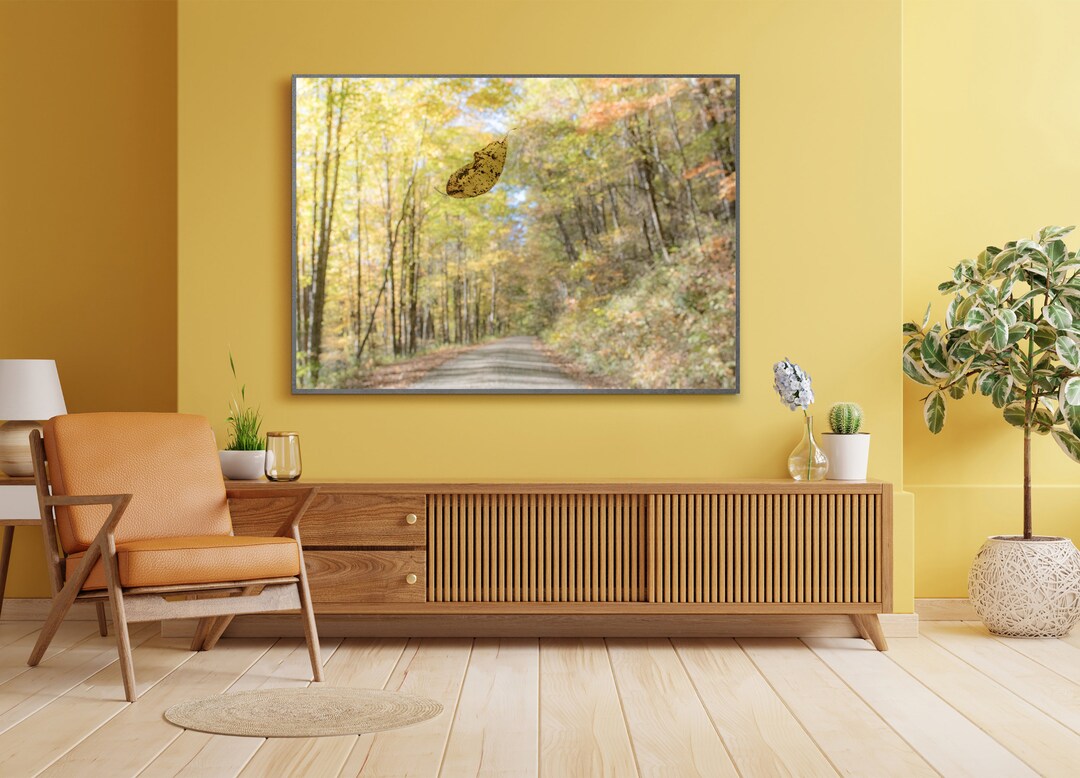 Fall Colors Photo Print Fall Leaf Wall Decor. Fall Color Wall Etsy