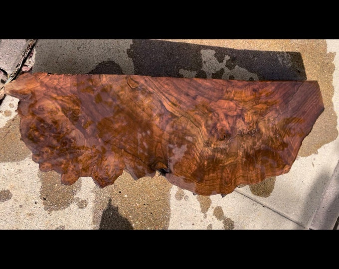 Claro Walnut Burl Slab Etsy
