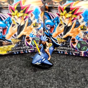 Ridanco トレーディングカードディスプレイフレーム 30枚収納可能（未