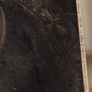 May include: A black and white image of a person wearing a dark dress and a white collar. The image is printed on a card with the text "Imprimi permittitur Ex mandato R. Halm Vic. Ap. cons. Dresdae, die 19. Aprilia 1899" printed on the right side.