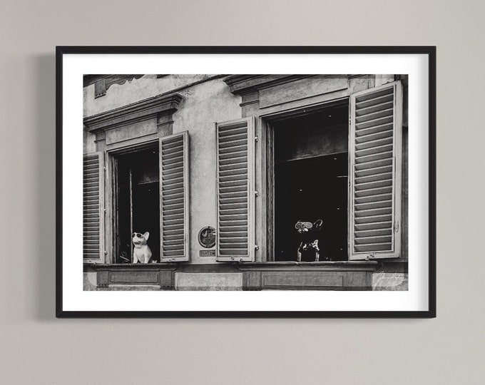 Watchdogs • Black and white photo of cool fake dogs in a window • Wall art  • Printable digital image • Gift idea • Street photo