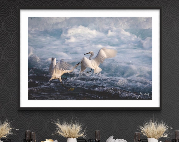 Egrets  • Wildlife wall art • Fine art photograph  • Gift for most occasions • Wildlife image for home and office decoration