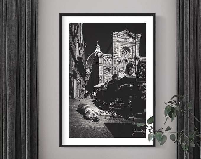Street life photo with dog on the street in Florence, Italy • Black and white Dog photo • The dome of Florence, Santa Maria Del Fiore