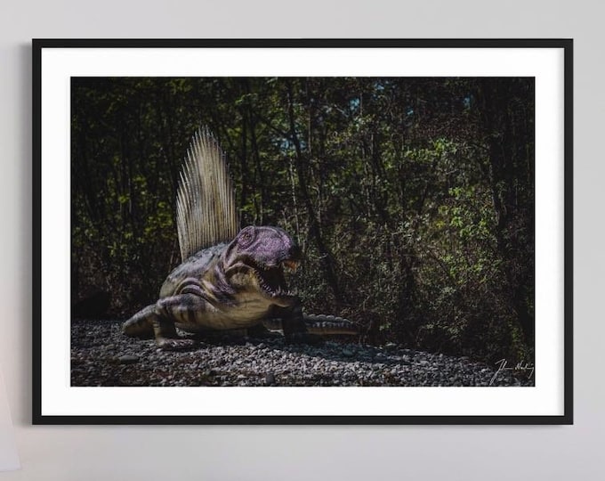 Dinosaurs Series • Dimetrodon photo • Gift idea for the dinosaur lover • Ideal for Home and Office wall art decoration