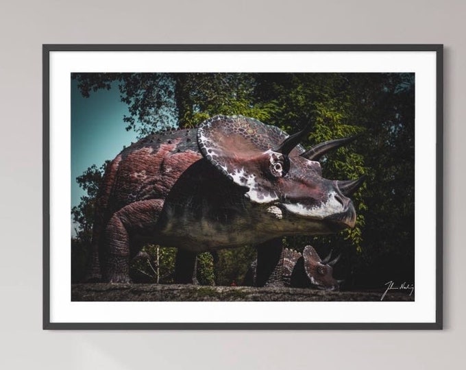 Dinosaurs Series • Triceratops photo, dinosaur gift idea for the dinosaur lover • Gift idea for Home and Office wall art decoration