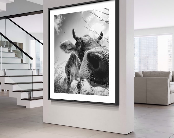 Moo-dy • cute  cow image • Funny cow image in black and white