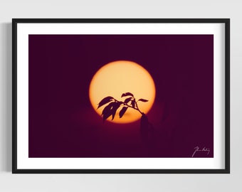 Into the sun • Beautiful sunset photo • Gift idea for home and office decoration