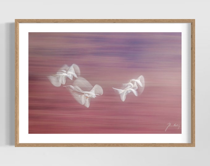 Abstract impressionist photo of white egrets flying • Gift idea for the bird and wildlife lover • Ideal for Home and Office decoration