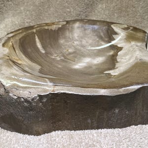 Petrified Wood Bowl / Dish almost 4 lbs!