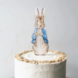 May include: A white frosted cake with a brown crumb crust around the bottom edge. A Peter Rabbit character cake topper is on top of the cake.
