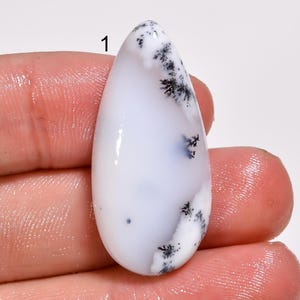 May include: A white and black dendritic agate cabochon with a teardrop shape. The agate has a white base with black dendritic patterns.