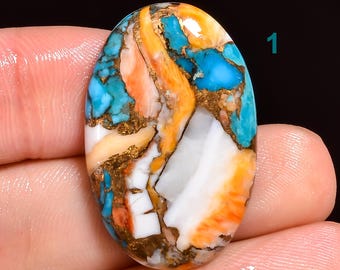 Natural Oyster Turquoise Gemstone, Spiny Oyster Turquoise Cabochon, Multi Color Copper Turquoise Crystal For Making Jewelry