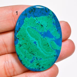 Mélange de pierres précieuses de chrysocolle australienne naturelle en forme de cabochon de cristal de chrysocolle, pierre de chrysocolle australienne pour la fabrication de bijoux (comme sur l'image)