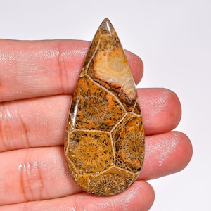 Pietra preziosa di corallo fossile naturale a forma di pera, cabochon di corallo fossile, cristallo di corallo fossile, 51X23X5 mm, pietra di corallo fossile da 47 carati