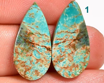 Natural Tibetan Turquoise Pair Mix Shape Tibetan Turquoise Gemstone Pair Matching Turquoise Pair Turquoise Crystal Pair For Making Earring