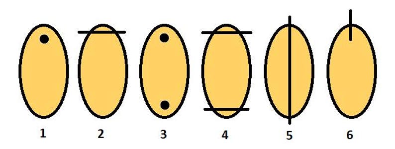May include: Six yellow oval shapes with different black markings. The first shape has a black dot in the center. The second shape has a horizontal line across the center. The third shape has two black dots on the sides. The fourth shape has two horizontal lines across the center. The fifth shape has a vertical line down the center. The sixth shape has a vertical line at the top.