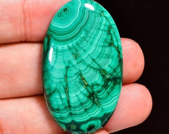 May include: An oval-shaped malachite gemstone with a polished surface. The stone displays concentric bands of varying shades of green, creating a swirling pattern. The gemstone is held in a hand against a black background.