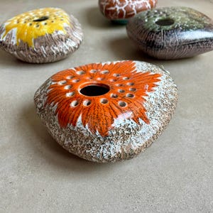 Könnte beinhalten: Eine Sammlung dekorativer Keramik-Blumenfrösche. Der vordere Frosch hat ein orangefarbenes Blumendesign und ein zentrales Loch. Weitere Frösche zeigen gelbe, grüne und braune Muster. Ideal für Blumenarrangements.