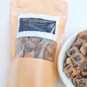 Acacia nilotica, Burguwa seeds, herbal babool phali, Nep Nep