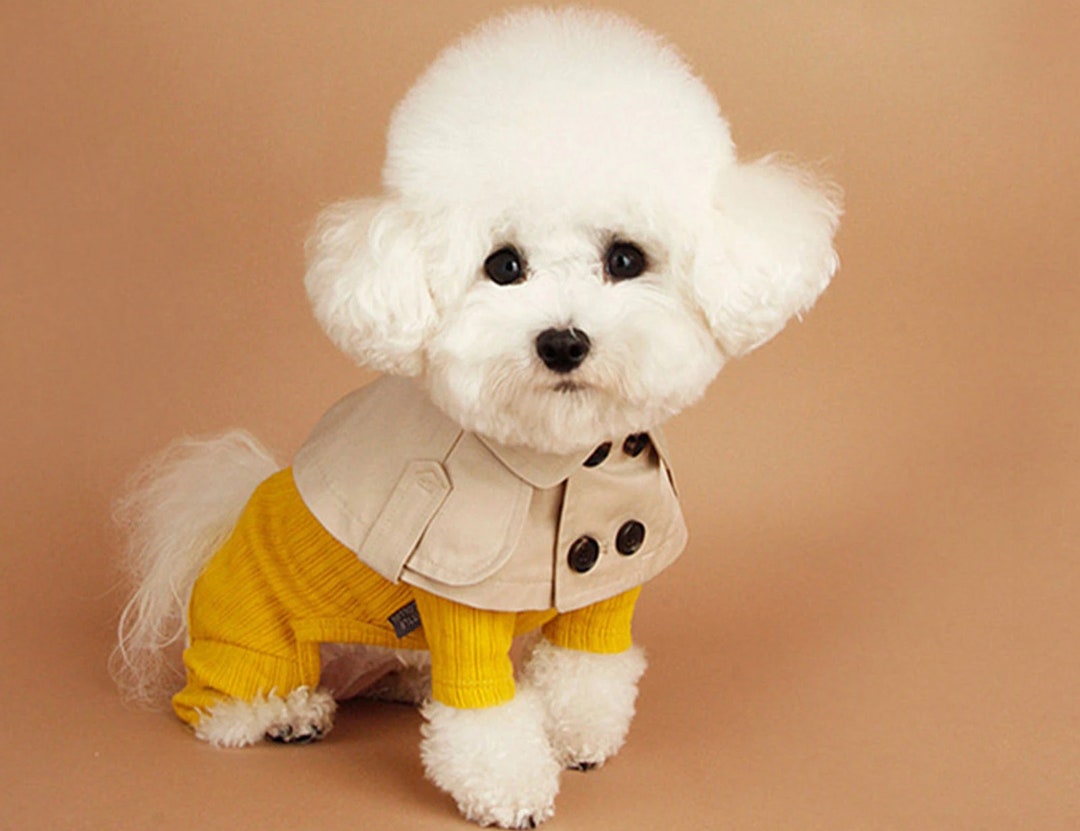 Dog Trench Coat Dog Cloak Dog Trench Dog Spring Jacket Etsy