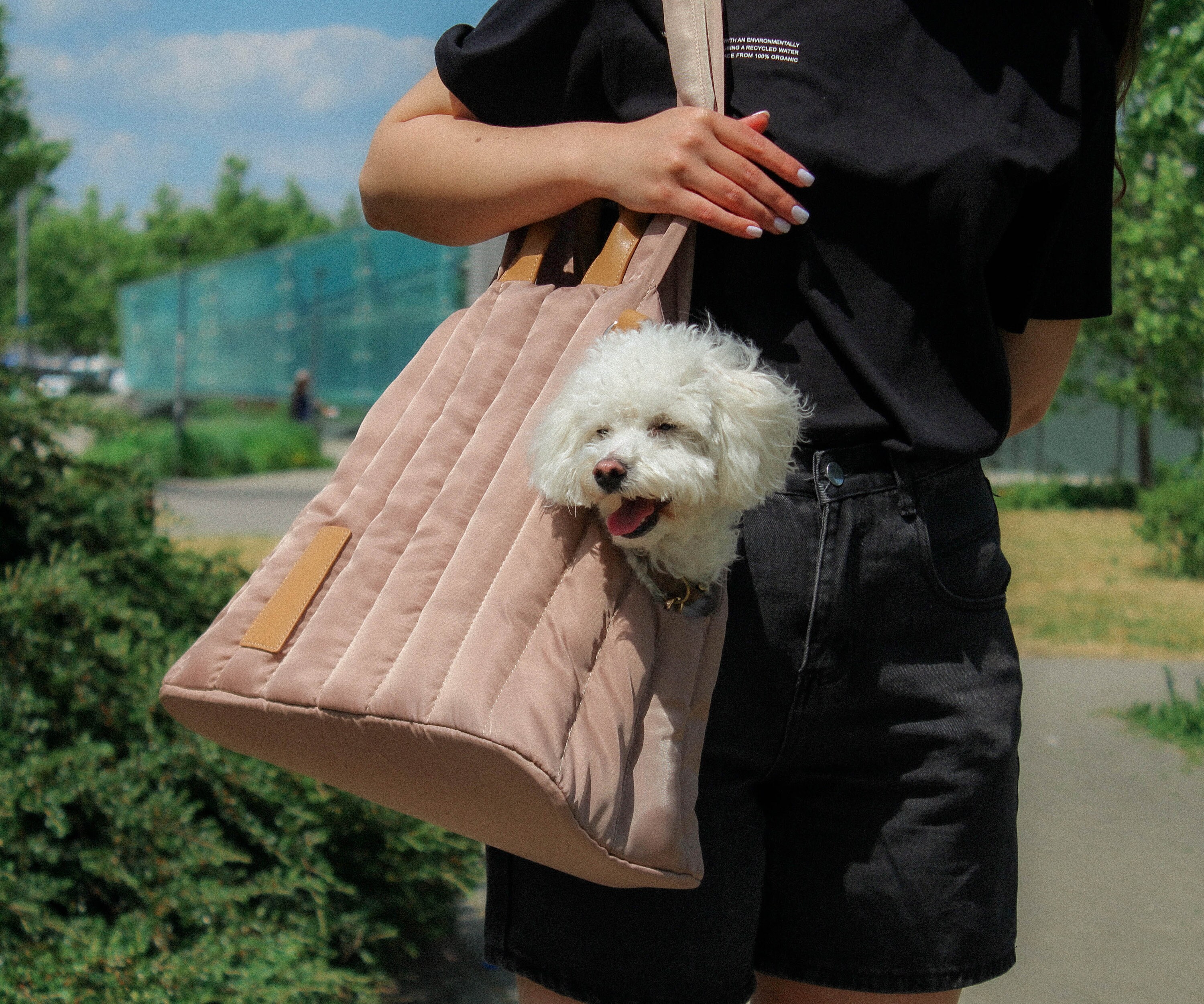 LeerKing Pet Carrier Purse Tote Bag Warm Sponge Portable Travel Bag with Leash Hook for Cats Medium Dogs in Winter for Shopping