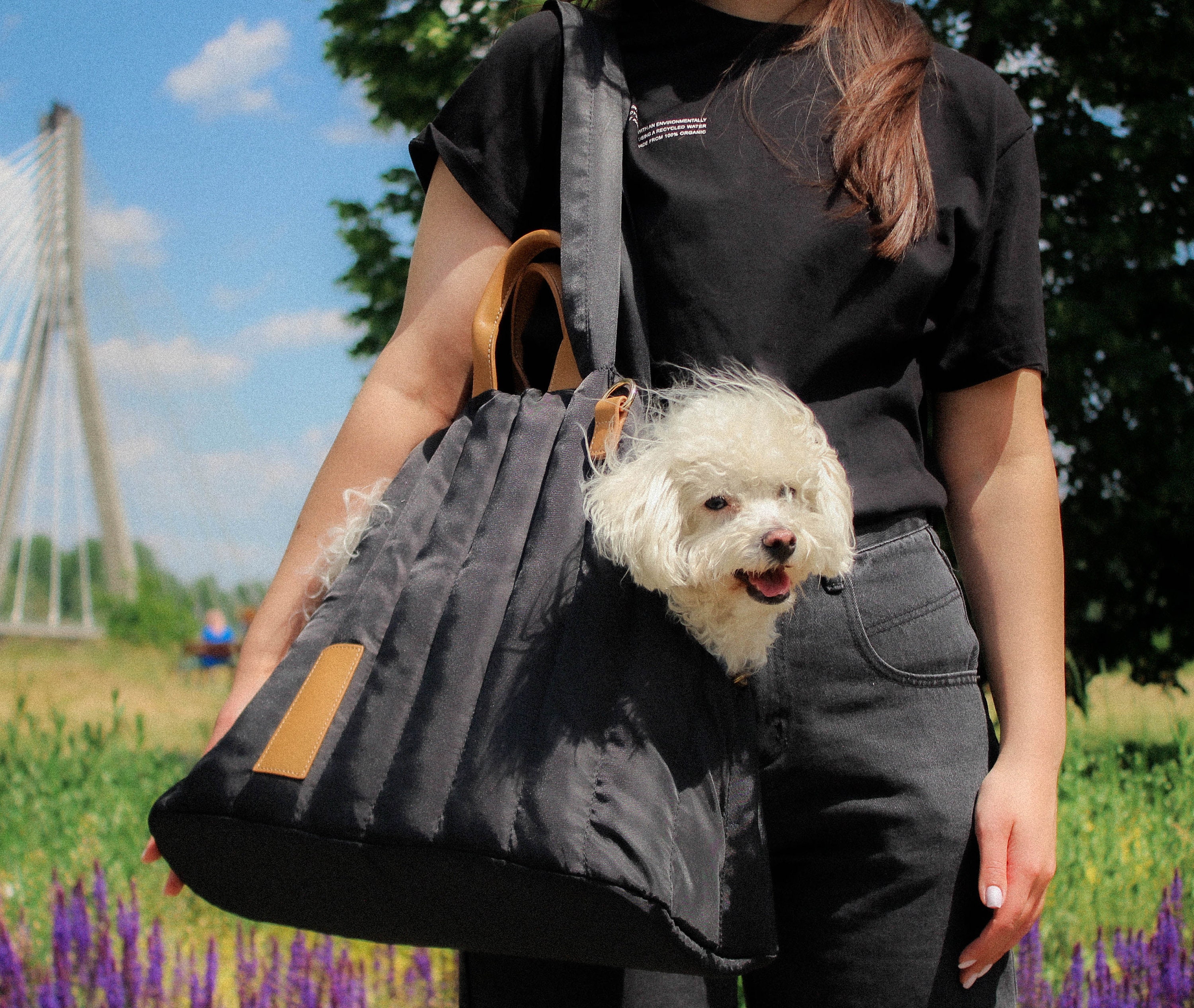 louis dog carrier bag