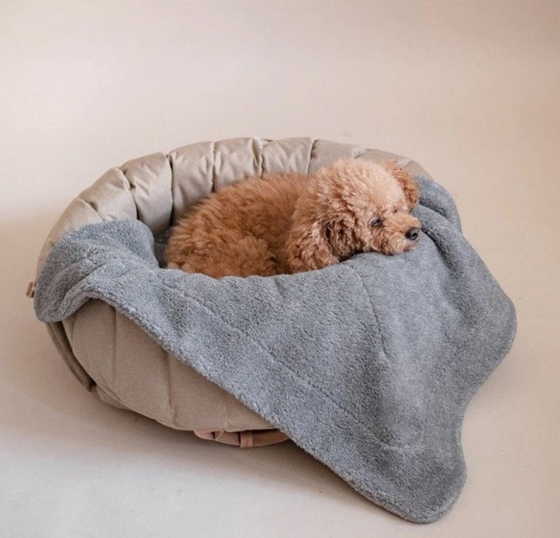 Pet Carrier Bag Pet Travel Bag Pet Carrier Purse Pet Etsy