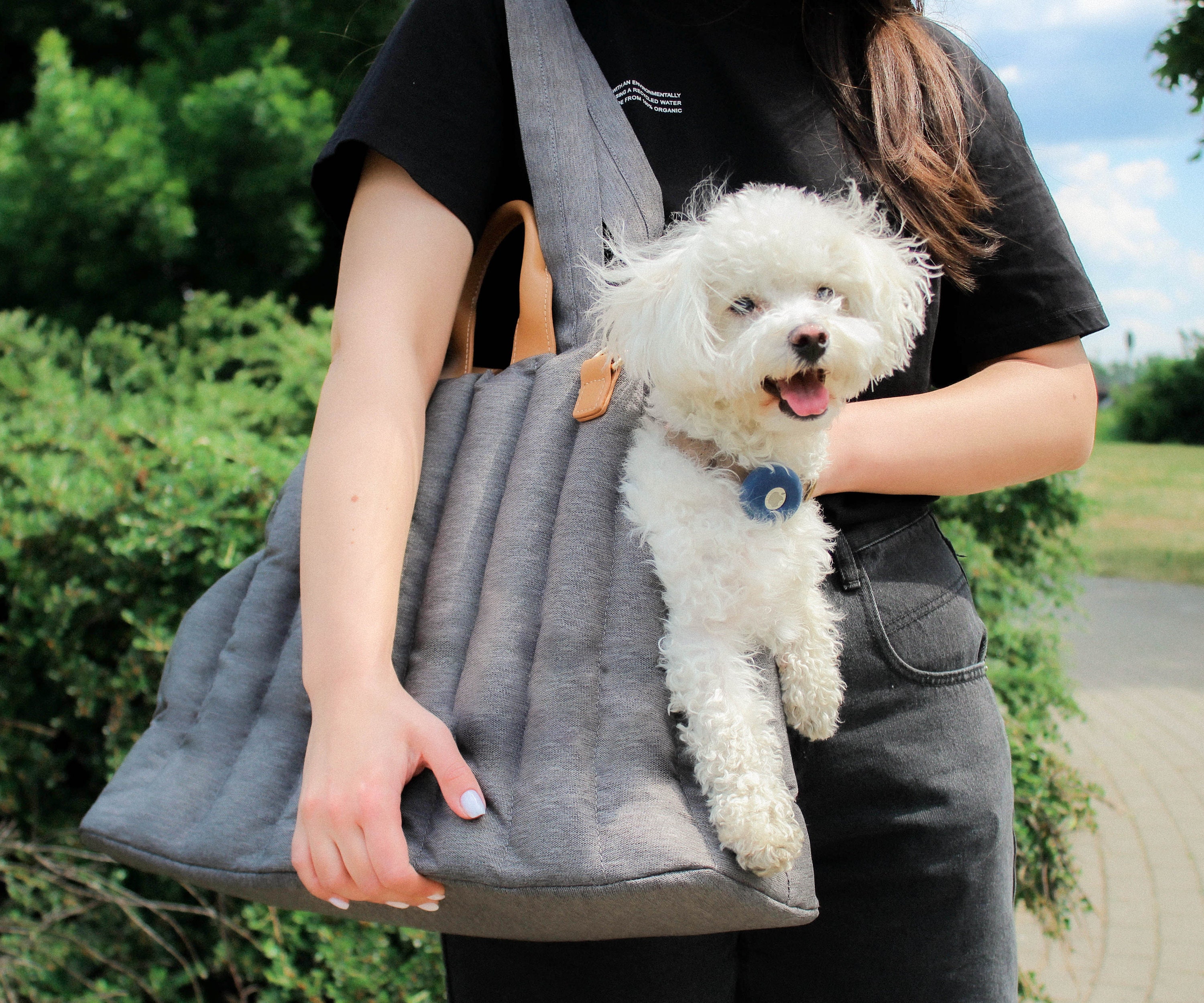 louis dog carrier bag