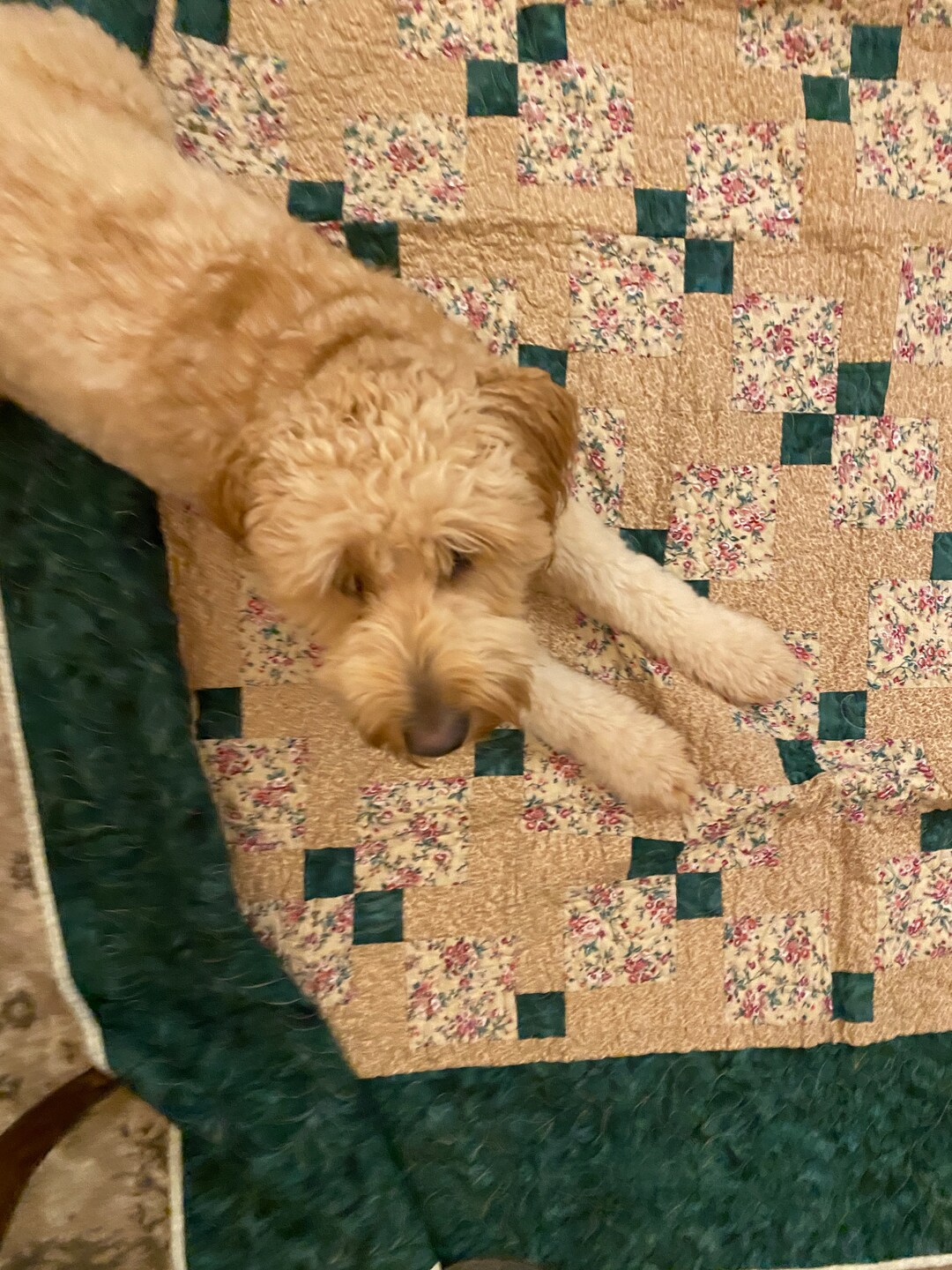 Vintage Quilt Roses With Green Border Square Blocks Etsy