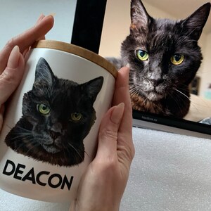 Pet urns for cats. Custom hand painted pet urn