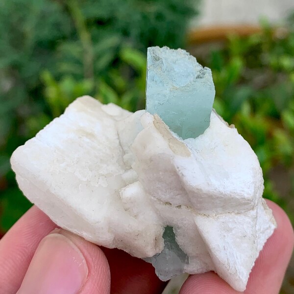 Beautiful Aquamarine Crystal On Albite Specimen from Shigar Valley,Gemstone,gems,minerals/ 46 Grams