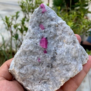 Può includere: Una roccia grigia ruvida con diversi piccoli cristalli di rubino rosa incastonati.