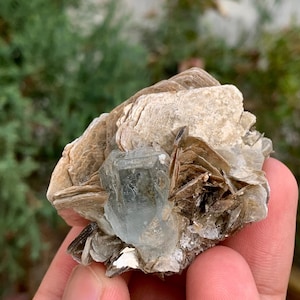 265.5 Carats Natural Beautiful Complete aquamarine Crystals on Muscovite Combine Specimen