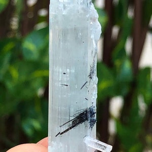 39.5 Carats Natural Beautiful Black Color Tourmaline Crystals On Aquamarine Crystal