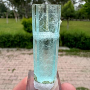 Pu&ograve; includere: Un cristallo di acquamarina blu chiaro traslucido, orientato verticalmente, montato su una base rettangolare trasparente. Il cristallo presenta strutture interne visibili e una consistenza leggermente ruvida. Lo sfondo &egrave; sfocato, mostrando fogliame verde.