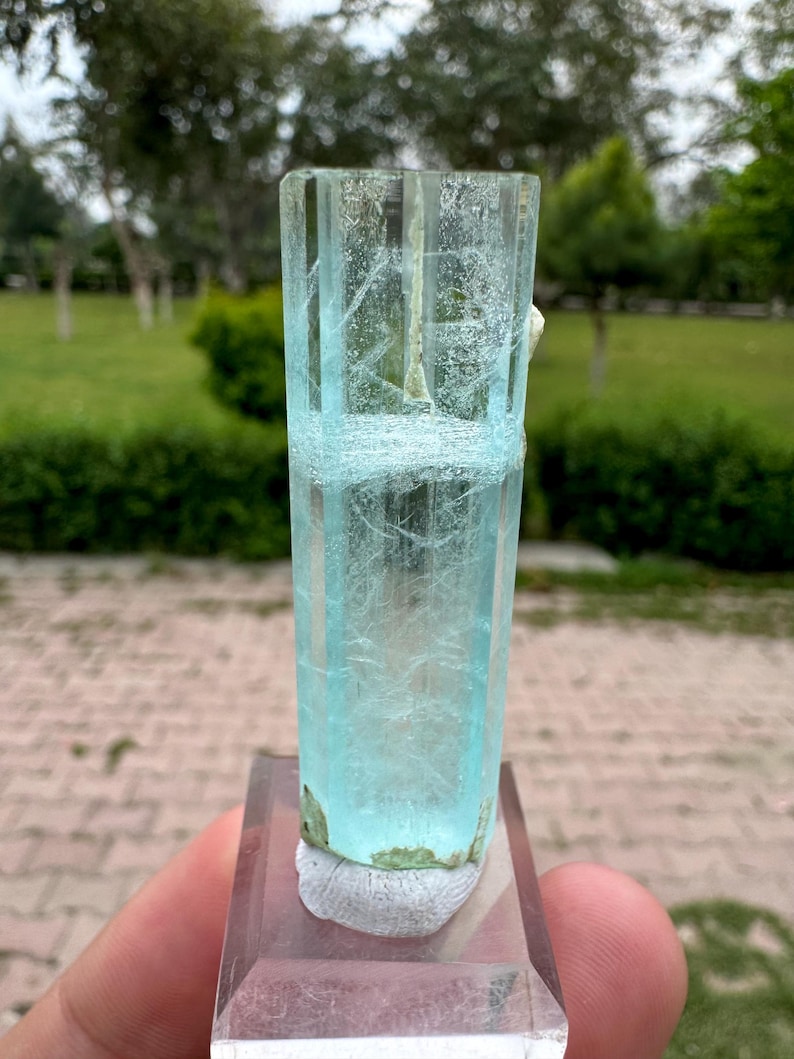 Pu&ograve; includere: Un cristallo di acquamarina blu chiaro traslucido, orientato verticalmente, montato su una base rettangolare trasparente. Il cristallo presenta strutture interne visibili e una consistenza leggermente ruvida. Lo sfondo &egrave; sfocato, mostrando fogliame verde.